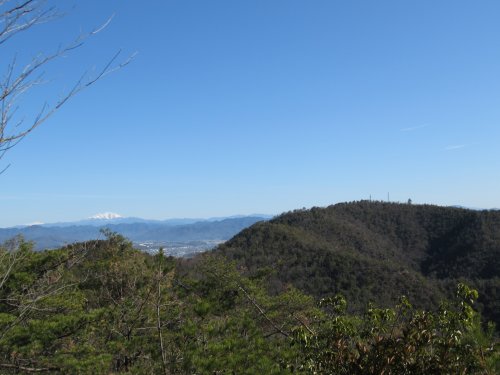 登山道